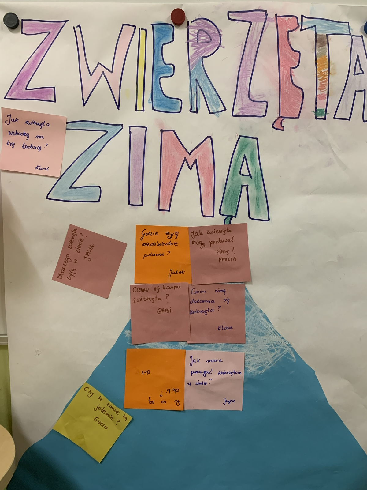 gr.1 Zwierzęta zimą