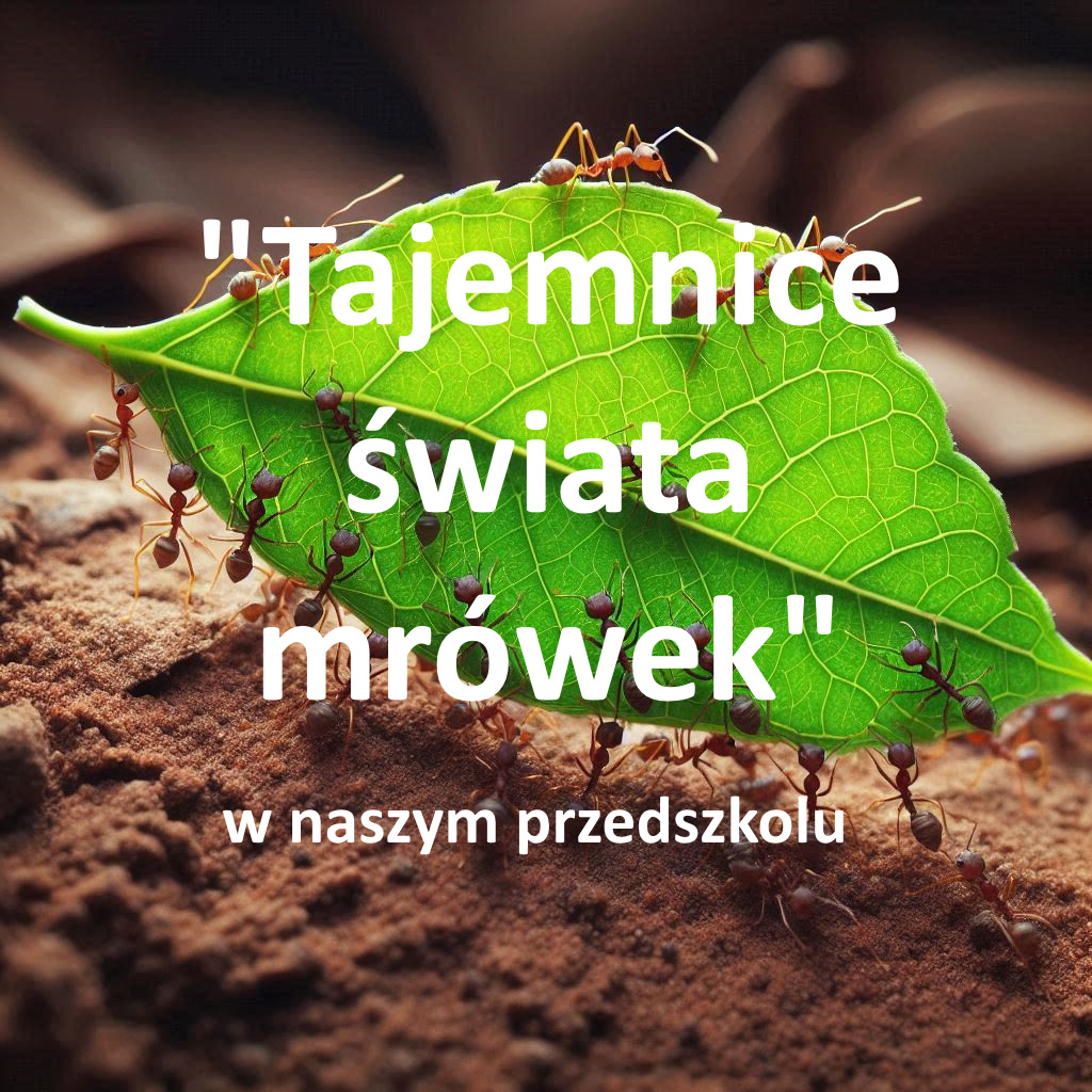 Warsztaty edukacyjne Tajemnice świata mrówek