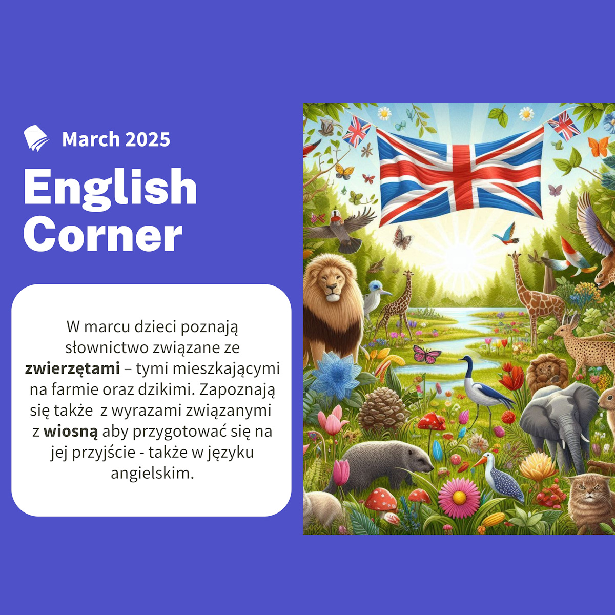 English Corner 03.2025